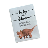 Dinosaur Baby Shower Seed Packet Favors