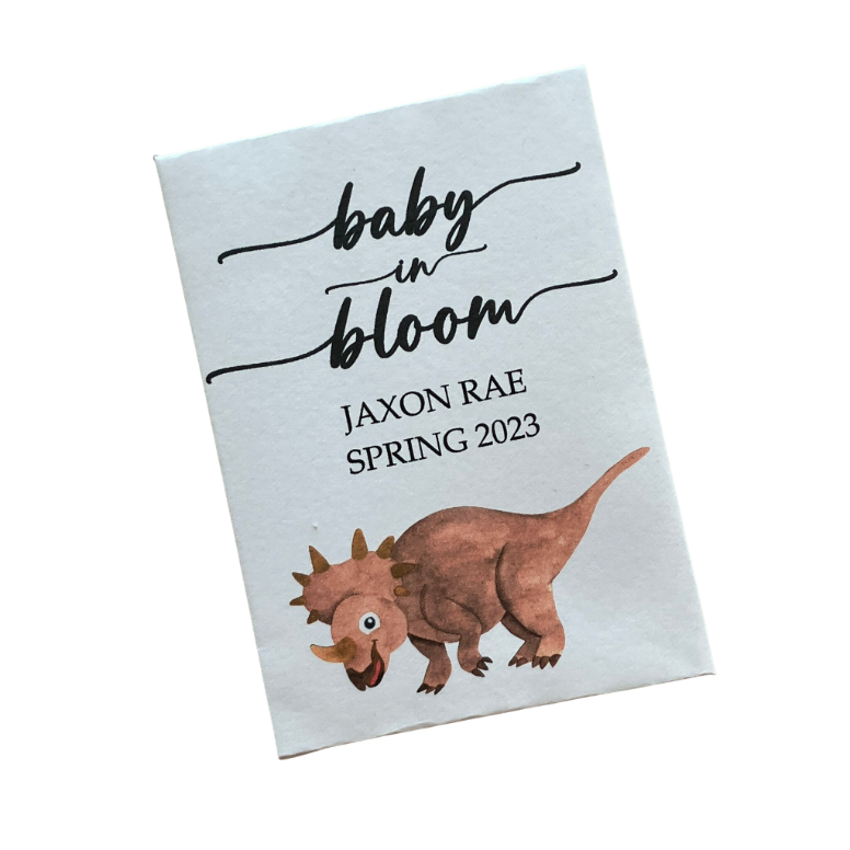 Dinosaur Baby Shower Seed Packet Favors