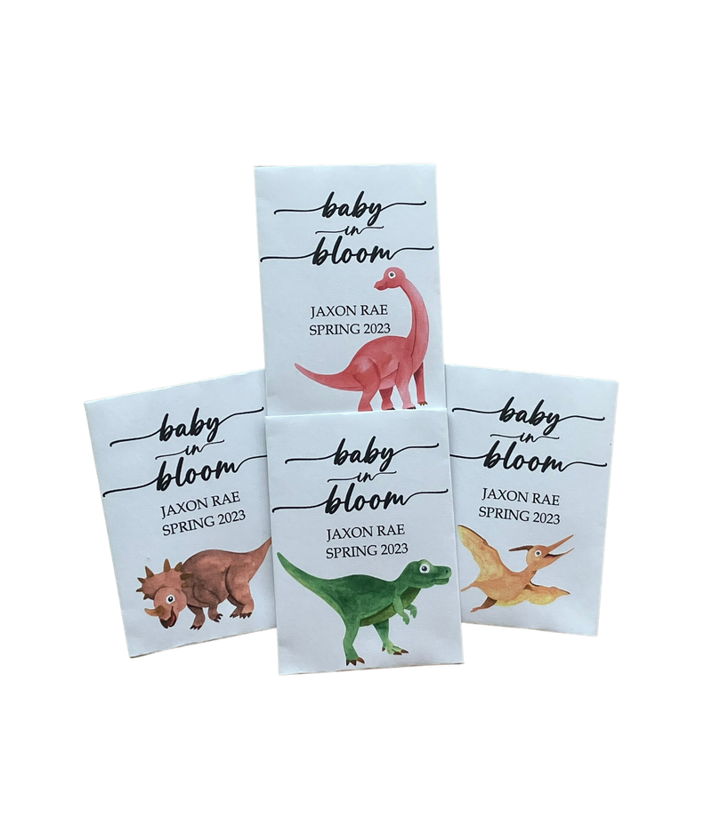 Dinosaur Baby Shower Seed Packet Favors
