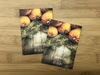 Fall Pumpkin Wood Seed Packets - Favor Universe