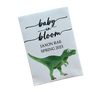 NEW Dinosaur Baby Shower Seed Packets