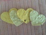 Plantable seed paper favors Red - Favor Universe