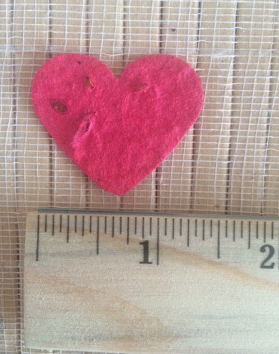 Plantable seed paper favors Red - Favor Universe