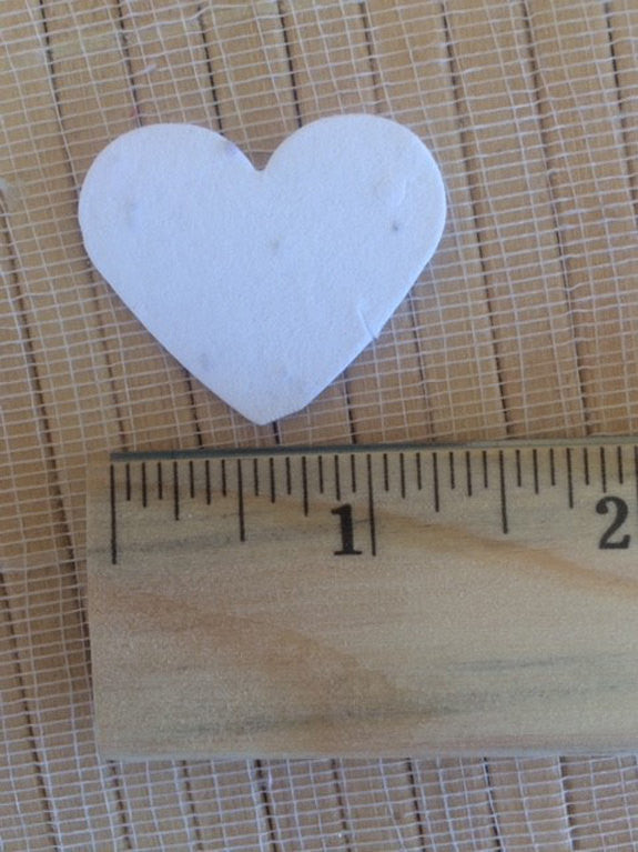 Plantable seed paper favors Pink - Favor Universe